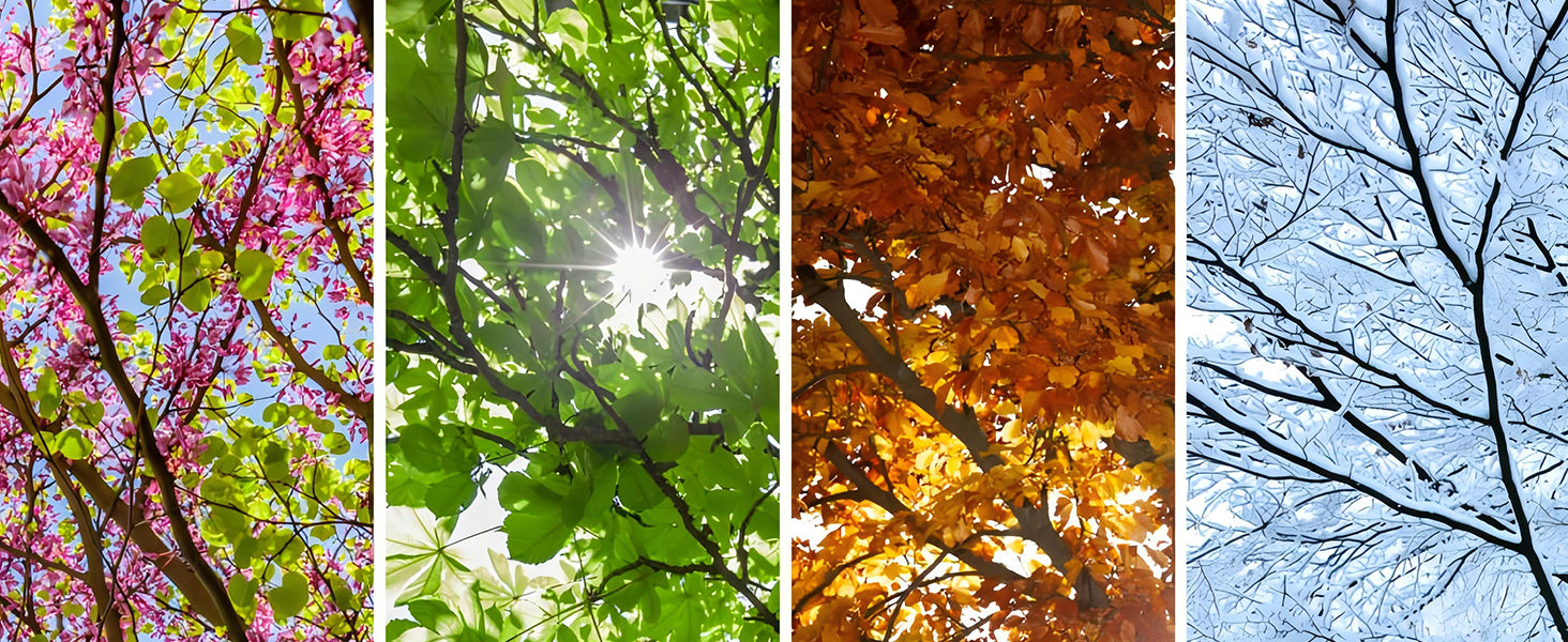 Quilts Queen Size Patchwork Bedspread Set - 100% Cotton Reversible Breathable Green Earth Geometric Quilted Quilt with Pillow Shams for All Seasons